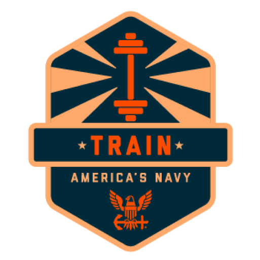 TRAIN icon patch from America's Navy's The Strike Group experience.