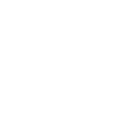 Purpose Icon